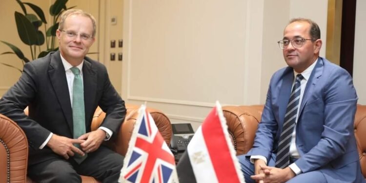 وزير المالية : الوضع الاقتصادي المصري مستقرا ونستهدف جذب استثمارات خاصة