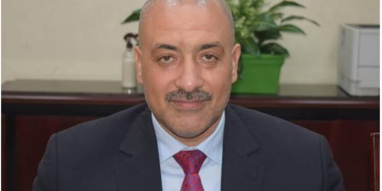 “الغرف التجارية”: التصدير ودرجات الحرارة وراء ارتفاع أسعار البطاطس بالسوق المحلية