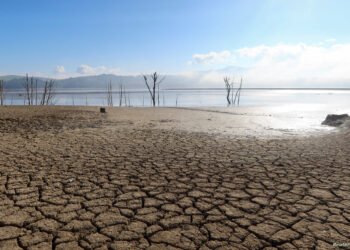 كيف أثرت التغيرات المناخية على إفريقيا؟