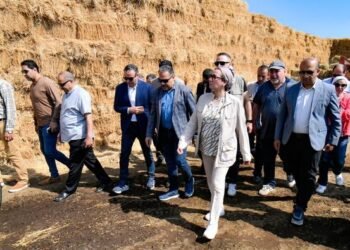 البيئة تطالب بضرورة إحكام السيطرة فى منظومة رصد إنبعاثات عوادم السيارات