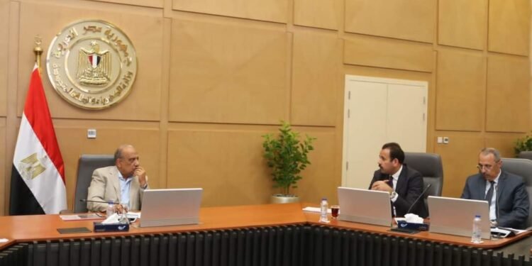 وزير الكهرباء وجهاز مستقبل مصر يبحثان التعاون فى مشروعات التغذية الكهربائية