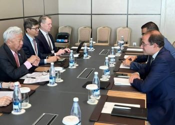 وزير المالية نستهدف استكشاف فرص جديدة فى المشروعات الخضراء