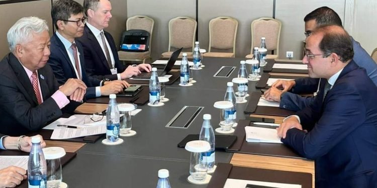 وزير المالية نستهدف استكشاف فرص جديدة فى المشروعات الخضراء