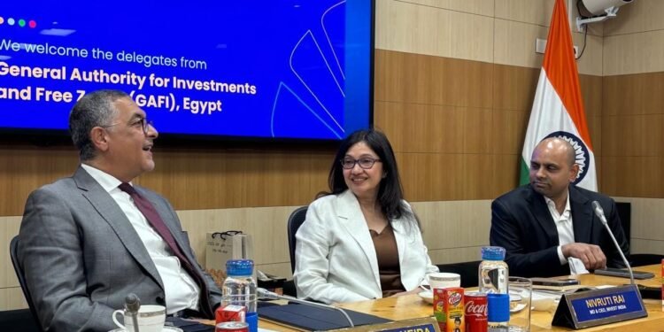 هيبة: إهتمام هندي بالاستثمار فى صناعة الأسمدة والهيدورجين الأخضر فى مصر