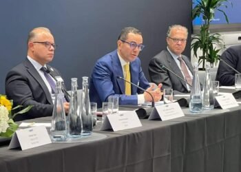 وزير الاستثمار