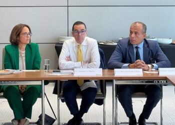 وزير الاستثمار