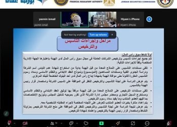 الرقابة المالية