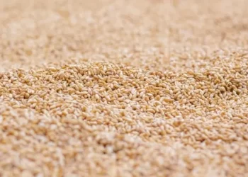 وزير التموين