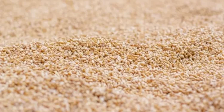 وزير التموين