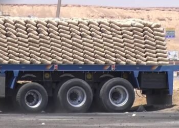 شركات المقاولات