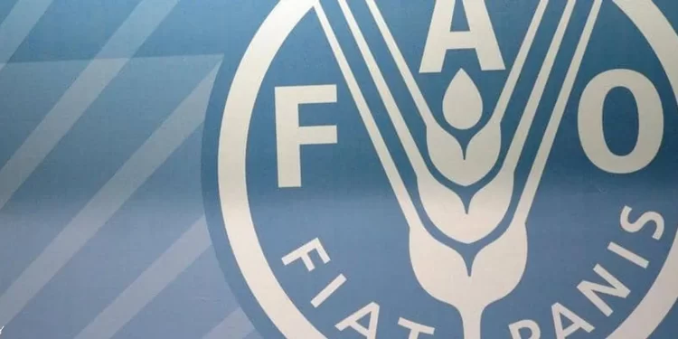 الفاو