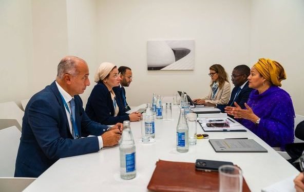 البيئة: نسعى لتقريب وجهات النظر للوصول لتوافق حول الهدف الجديد للتمويل