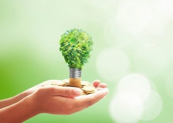 “صندوق الاستثمارات”: 19.4 مليار دولار متطلبات الإنفاق الرأسمالي للمشاريع الخضراء