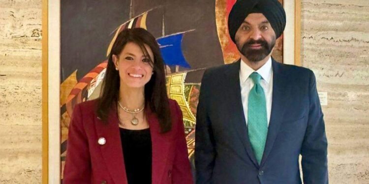 وزيرة التخطيط تبحث مستجدات التعاون بين مصر والبنك الدولي