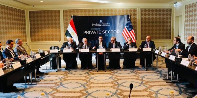 وزير الاستثمار : الهيدروجين الأخضر والطاقة من أهم الفرص الاستثمارية الواعدة في مصر