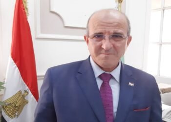 طارق سليمان: حجم الاستثمار في الثروة الداجنة يتخطي 100 مليار جنيه