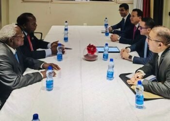 الاستثمار: 15 مليون دولار أمريكي حجم الصادرات المصرية لزامبيا