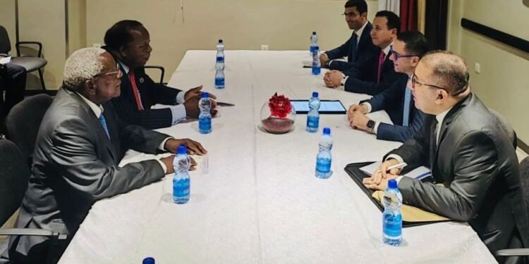 الاستثمار: 15 مليون دولار أمريكي حجم الصادرات المصرية لزامبيا