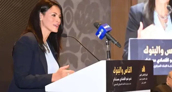 وزيرة التخطيط: البنوك تستحوذ على 57٪؜ من تمويلات المؤسسات الدولية منذ 2020