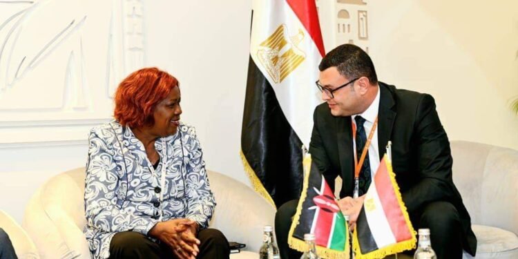 وزير الإسكان يعرض التجربة العمرانية المصرية على نظيرته الكينيةويبحثان التعاون المشترك