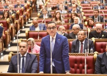 الاستثمار: خطة  لتقليل زمن الإفراج الجمركي تدريجياً ليصل إلى يومين بحلول 2025