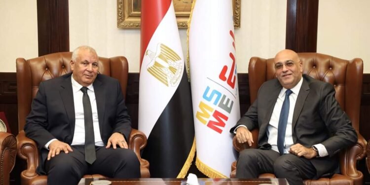 تنمية المشروعات يتعاون مع محافظة الوادي الجديد لتوطين صناعة الحرير في مصر