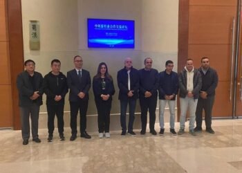 التنمية المحلية