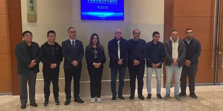 التنمية المحلية