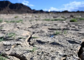 آرثر دي ليتل