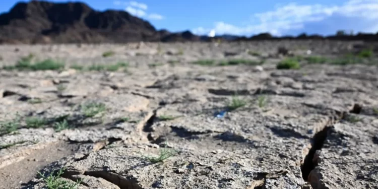 آرثر دي ليتل