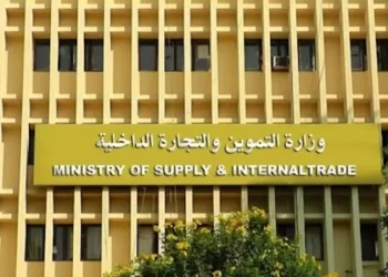 جهاز مستقبل مصر