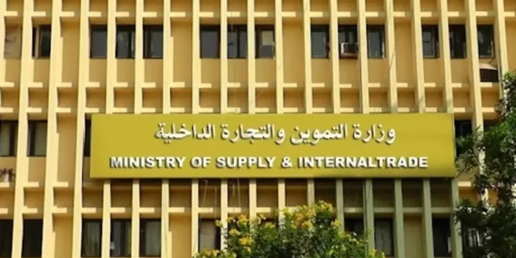 جهاز مستقبل مصر