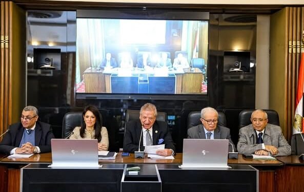 المشاط: 987 مليار جنيه استثمارات مستهدفة للقطاع الخاص خلال العام المالي الجاري