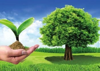 رغم نقص المهارات.. ارتفاع الطلب على الوظائف الخضراء