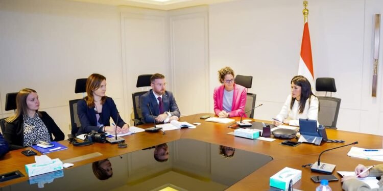 التخطيط: مصر تُنفذ مجموعة واسعة من الإصلاحات لجذب الاستثمارات الأجنبية