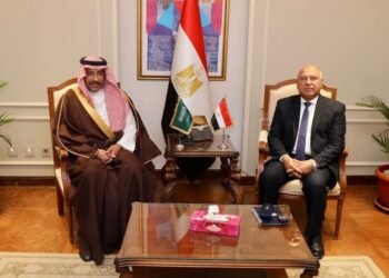 وزير الصناعة ونظيره السعودي يبحثان إنشاء مصانع لإطارات السيارات والبتروكيماويات