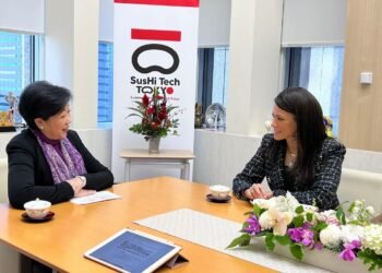 التخطيط : نتطلع إلى التوسع في آليات التمويل من بنك اليابان للتعاون الدولي للقطاع الخاص في مصر