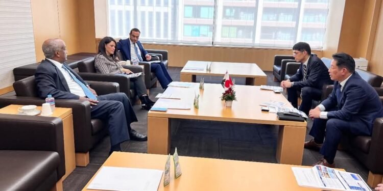 المشاط: الطاقة المتجددة والهيدروجين الأخضر مجالات واعدة لاستثمارات الشركات اليابانية في مصر