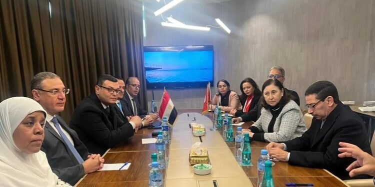 الشربيني: الدولة المصرية مستعدة لتقديم خبراتها في مجال التنمية العمرانية مع أشقائنا بتونس