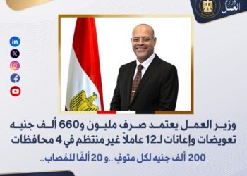 وزير العمل يعتمد صرف مليون و660 ألف جنيه تعويضات وإعانات لـ12 عاملًا غير منتظم