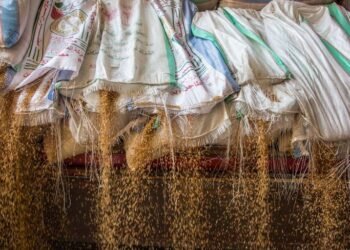 البورصة المصرية للسلع