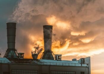 تطبيق منظومة “بنك المخلفات” لمبتكر مصري في 3 دول أفريقية بداية العام المقبل