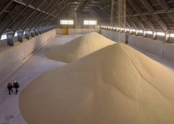 أبوقير للأسمدة