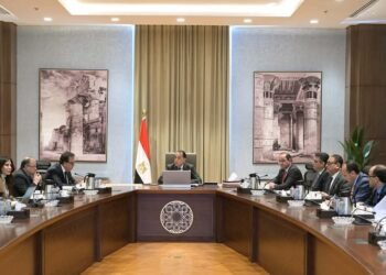 رئيس الوزراء يتابع موقف توافر الأدوية وسداد مستحقات الشركات
