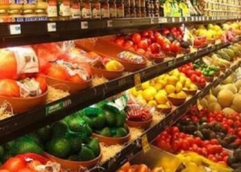 17 % نمو في صادرات الصناعات الغذائية مسجلة 5.5 مليار دولار في11 شهرًا