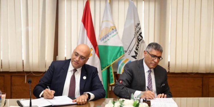 جهاز تنمية المشروعات ومحافظة الجيزة يتعاونان لدعم المشروعات متناهية الصغر