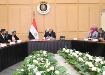 وزير الصناعة يبحث خطط 9 شركات تركية لزيادة استثماراتها في مصر