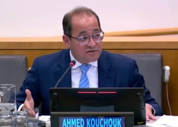 وزير المالية: نسعى لإطلاق مبادرات لمبادلة الديون باستثمارات في التنمية المستدامة والتحول الأخضر