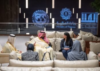 وزيرة التخطيط والتعاون الدولي تبحث مع نظيرها السعودي العلاقات المشتركة