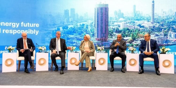 محمد شيمي: نتوسع في مشروعات الطاقة المتجددة بشركات قطاع الأعمال العام